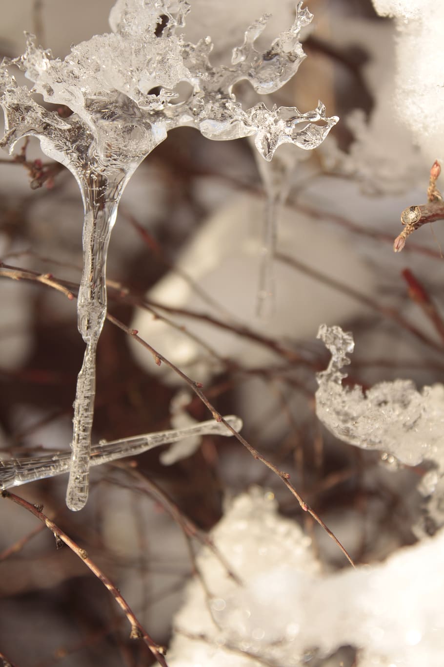 icicle, thaw, spring sign, cold temperature, winter, focus on foreground HD wallpaper