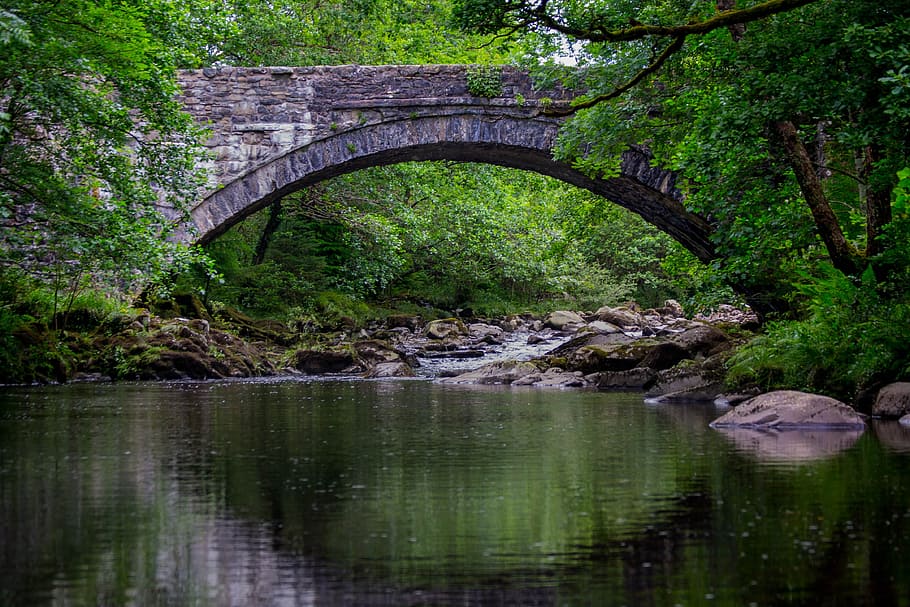 gray arch bridge in between green trees, coed y brenin, landscape HD wallpaper