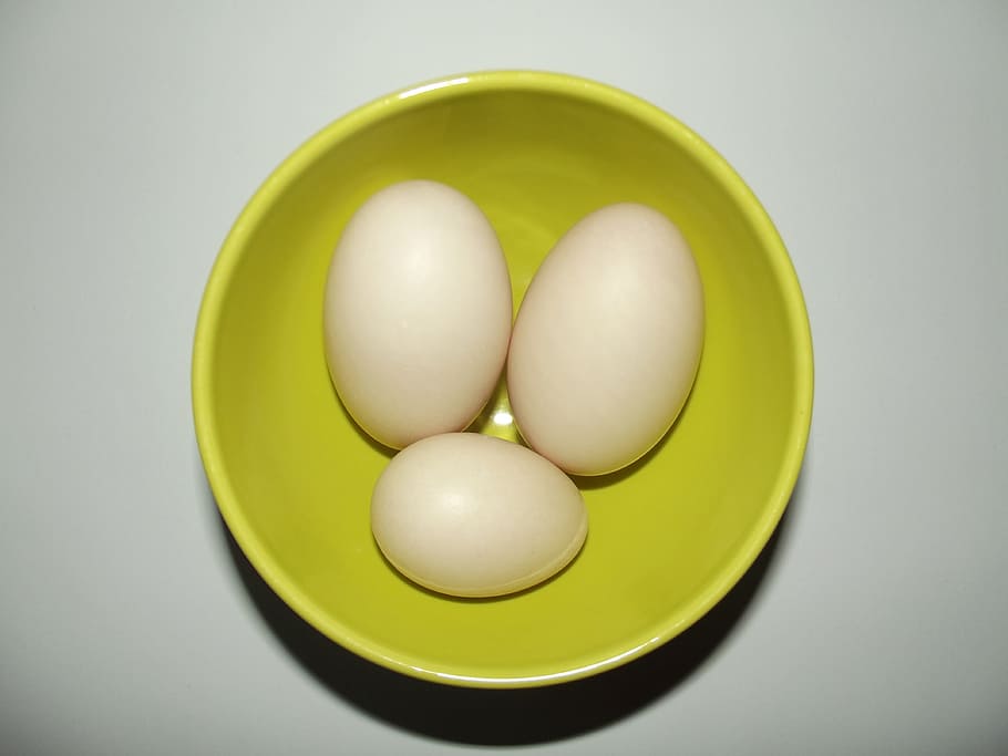 Duck Eggs, Bowl, large eggs, green, studio shot, easter egg HD wallpaper