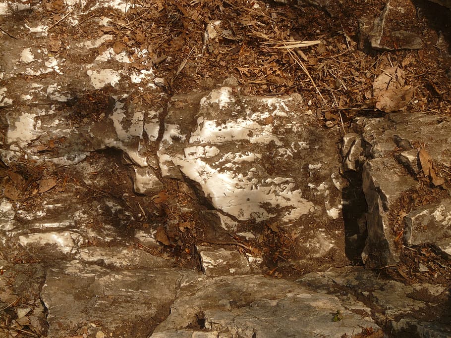 rock, stone, greasy, limestone, sanded, ceded, slippery, scaled-kicks HD wallpaper