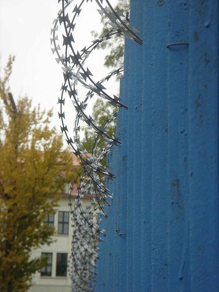 wire, spines, fence, built structure, plant, architecture, building exterior HD wallpaper
