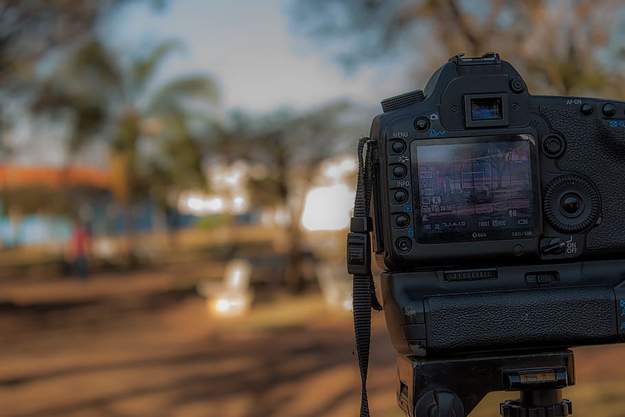 Person Using Black Dslr Camera, Analogue, blur, dark, display HD wallpaper