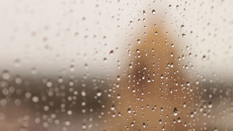 rain, drops, wet, water, backgrounds, indoors, close-up, food and drink HD wallpaper