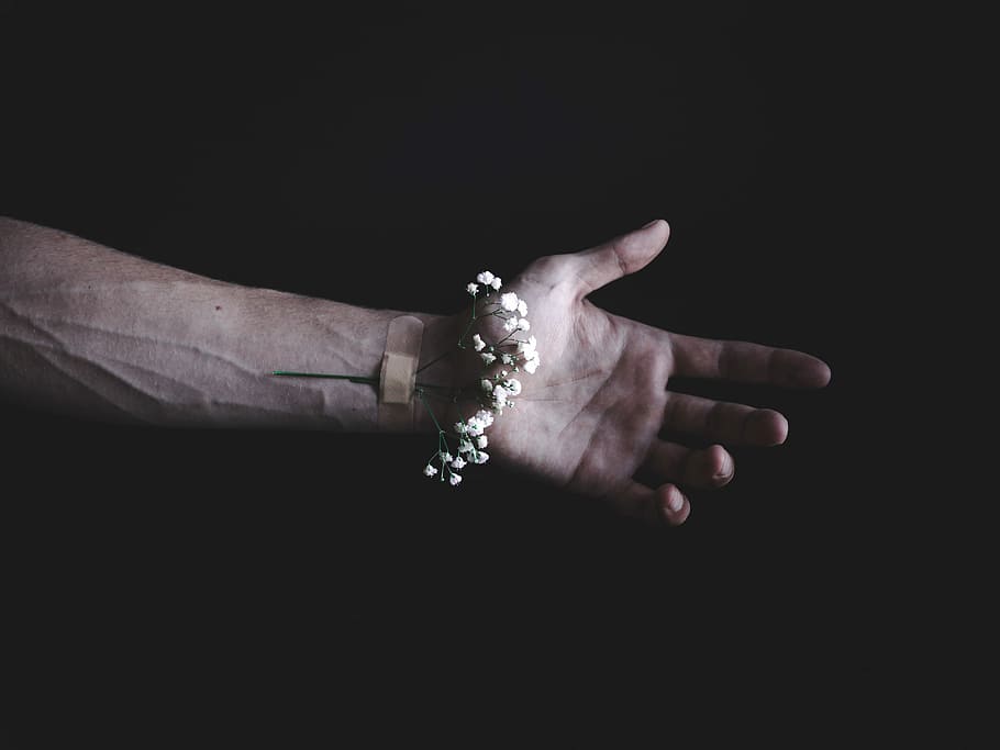 person's hand, person's arm with white flowers and band aid, conceptual