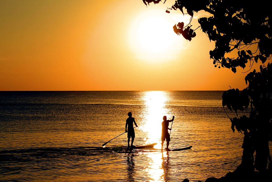 paddle, sunset, shadow, silhouette, water, sky, sea, beauty in nature HD wallpaper