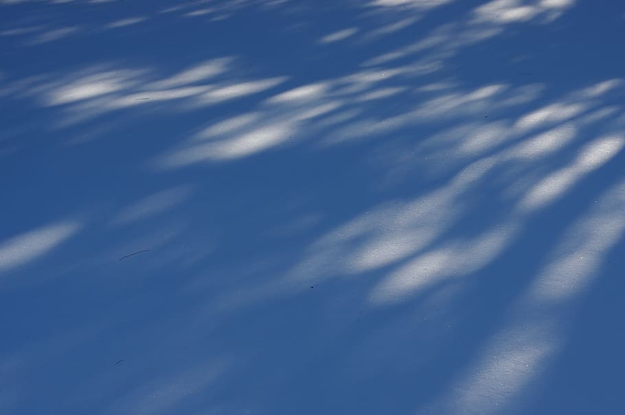 winter, snow, shadows, white, cold, seasonal, snowflake, snowfall HD wallpaper
