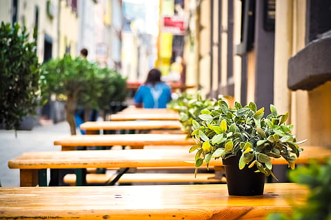 empty wooden tables with plant on top outdoor, restaurant, local HD wallpaper