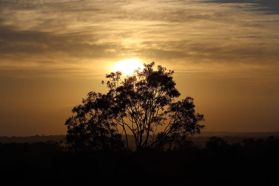 Hunter Valley, Australia, Sunrise, sunset, nature, dusk, sky HD wallpaper