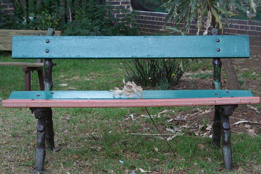 bench, park, sit, relax, empty, turquoise, red, leaf, autumn HD wallpaper