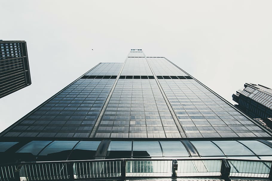 low angle photography of mirrored high-rise building, worms HD wallpaper