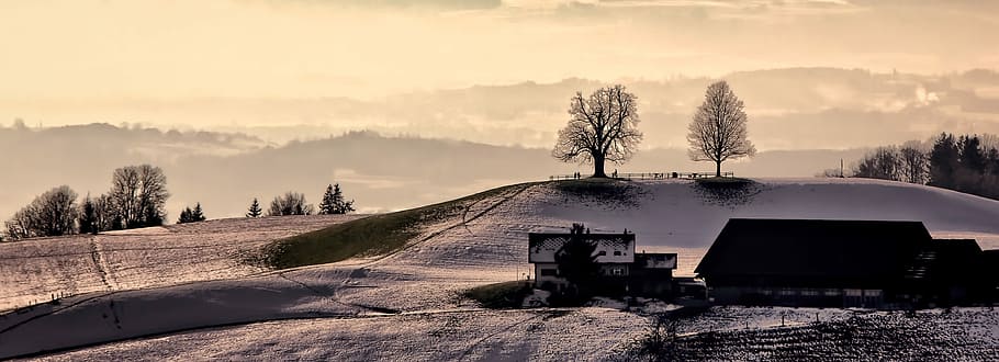 silhouette photo of house, black train near hill and trees at daytime HD wallpaper