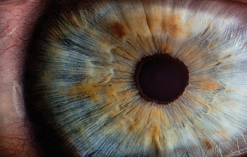 human eye in-close up photography, iris, pupil, eyes, macro HD wallpaper