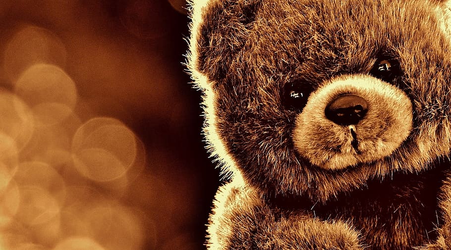 shallow focus photography of brown bear plush toy, teddy, soft toy, HD wallpaper