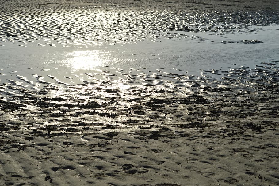 beach, sea, pier, water, sand, air, island, schiermonnikoog, HD wallpaper