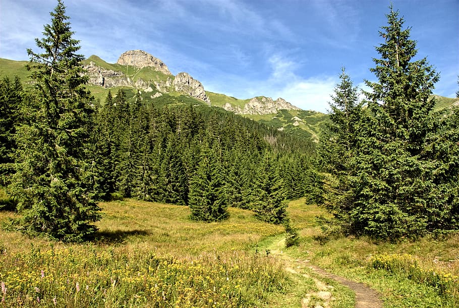 tatry, slovakia, landscape, top view, mountains, nature, sky HD wallpaper