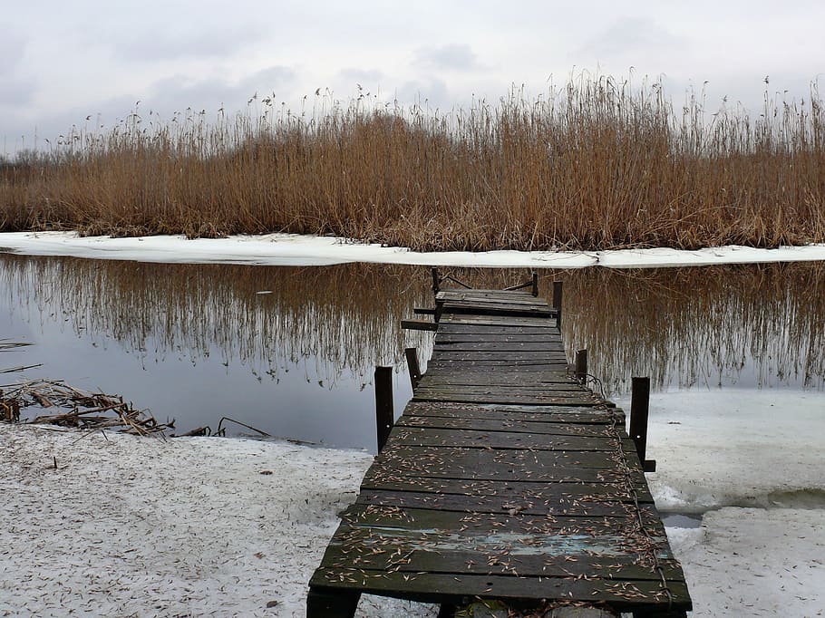 cold, dock, ice, pond, reflection, river, snow, water, winter HD wallpaper