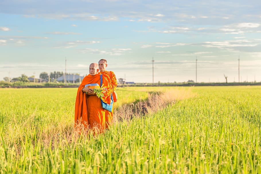 two monks on green grass field, พระ, Buddhism, Religion