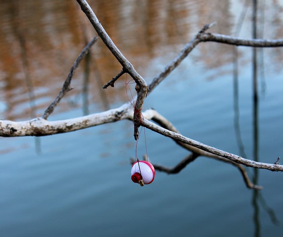 red and white fishing lure on tree branch, focus on foreground HD wallpaper
