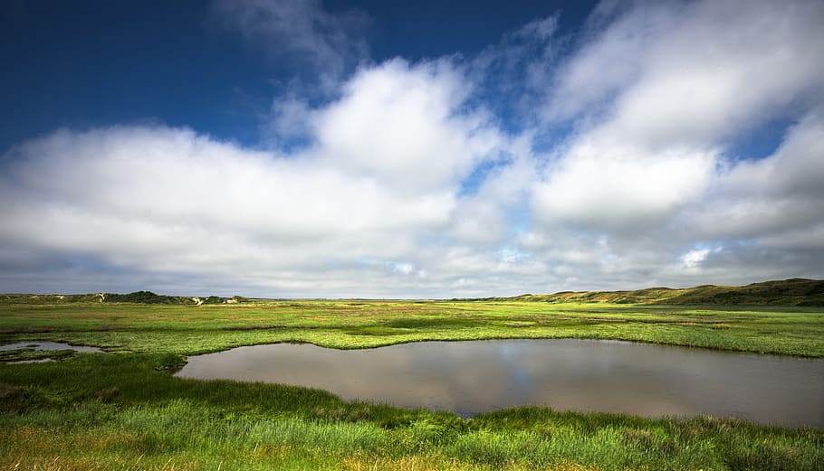 de slufter, texel, clouds, netherlands, nature, dunes, summer HD wallpaper