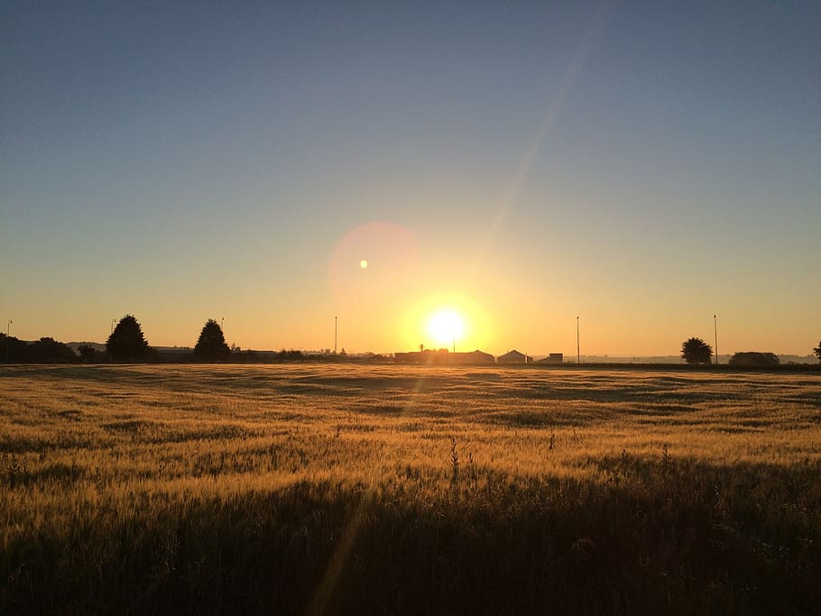 sunset, field, west, landscape, evening, sky, nature, dark HD wallpaper