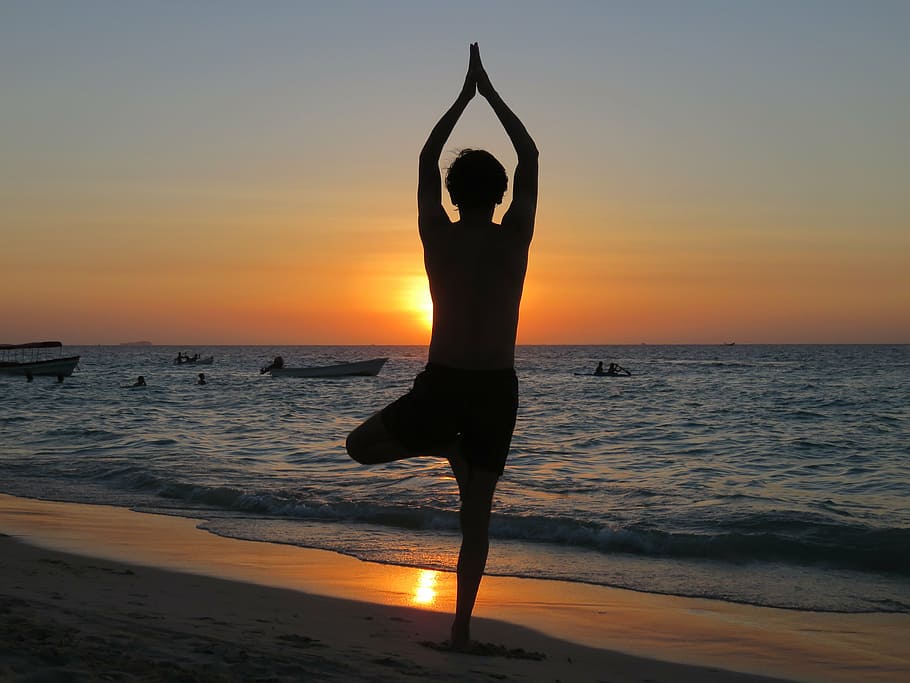 Guy doing karate poses at sunset sea shore Stock Photo | Adobe Stock