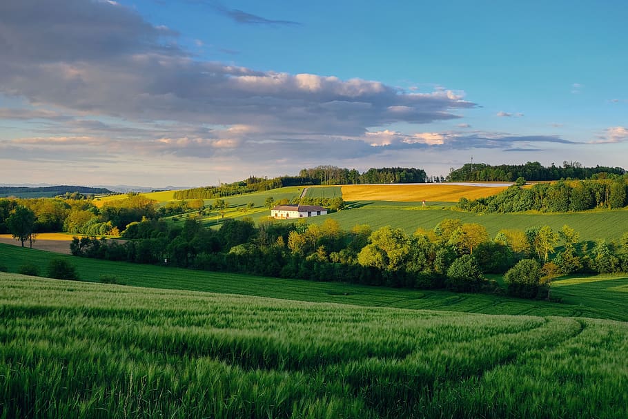 nature, landscape, spring, fields, vision, landscape panorama HD wallpaper
