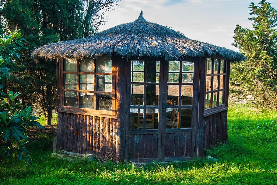 pergola, booth, cabin, field, nature, rural, plant, architecture HD wallpaper