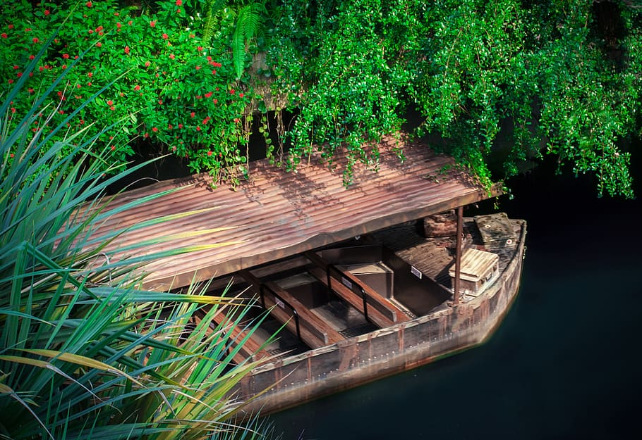 brown wooden board near body of water surrounded by trees, boot HD wallpaper
