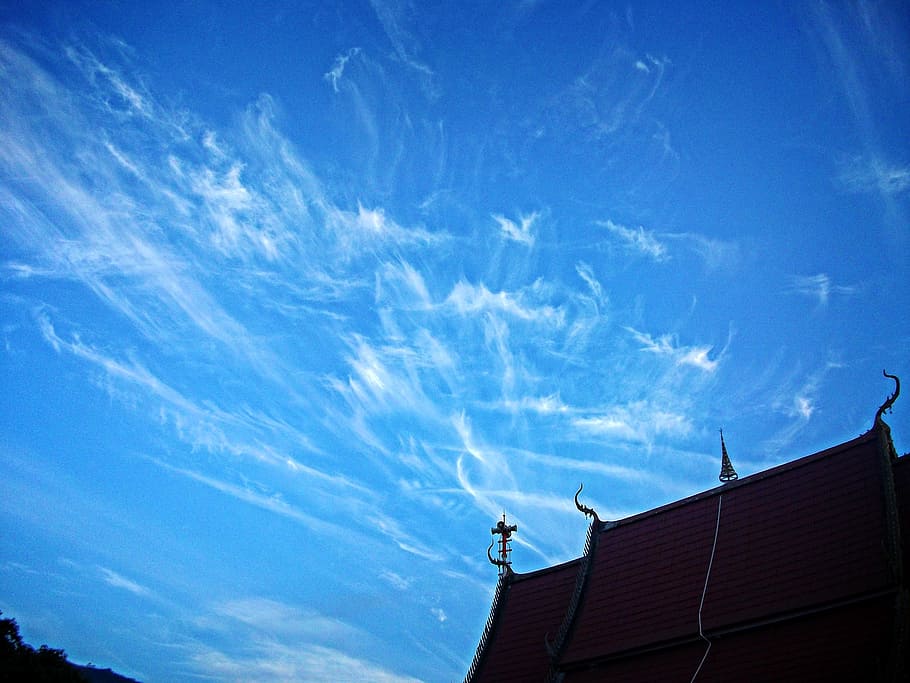 plant, life, on, architecture, sky, built structure, cloud - sky HD wallpaper
