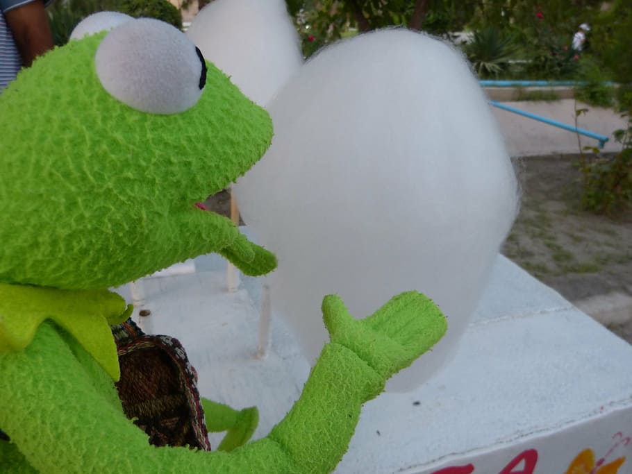 kermit, frog, cotton candy, buy, eat, sweet, winter, green color HD wallpaper