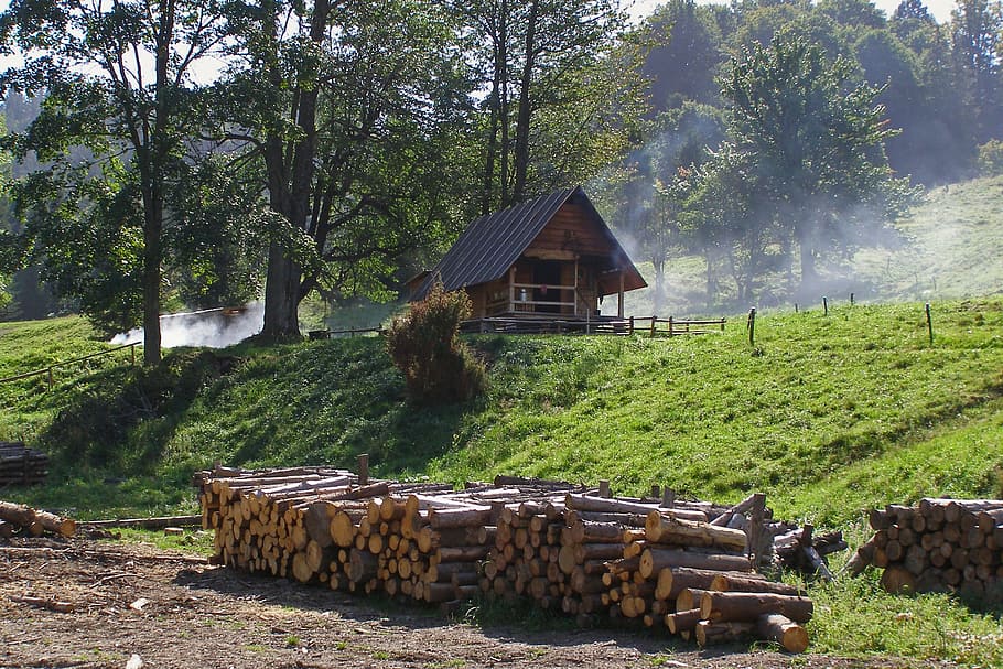hut, cottage, mountains, shepherd's hut, wood, smoke, szczawnica, HD wallpaper