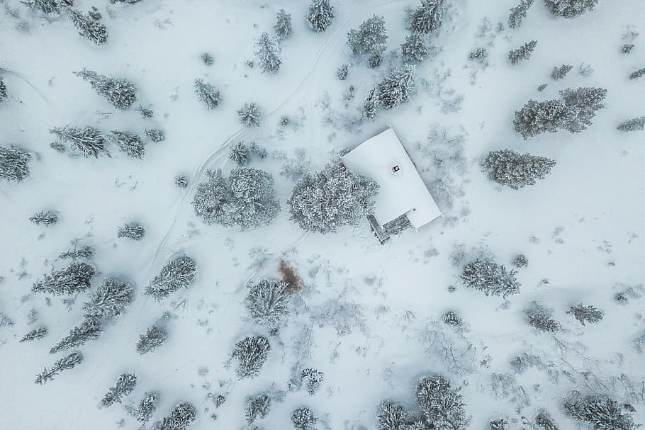 high-angle photography of house and trees with snowfield, bird's eye view of forest covered by snow HD wallpaper