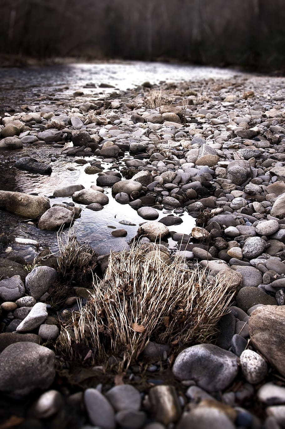 River, Stream, Creek, Nature, pebble, outdoors, day, no people HD wallpaper