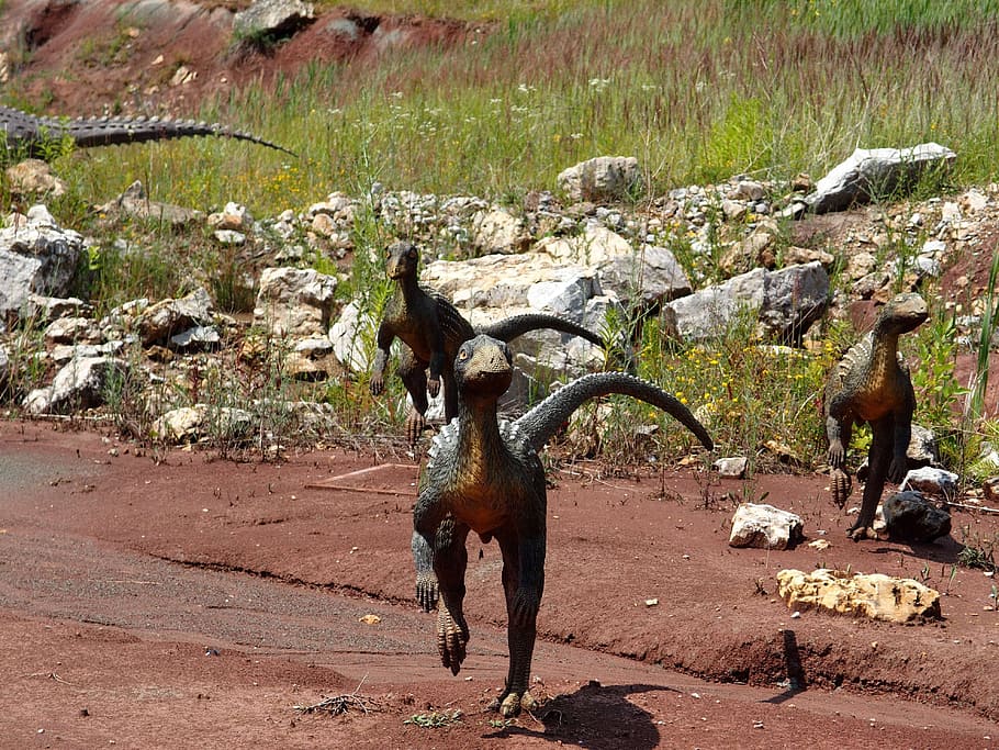 dinosaur, prehistory, predator, gad, animal themes, mammal HD wallpaper