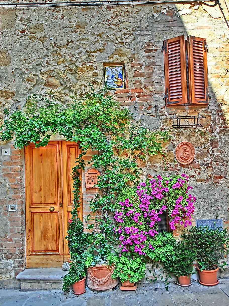 purple million bells flowers vine on brown bricked house wall with brown wooden door, HD wallpaper