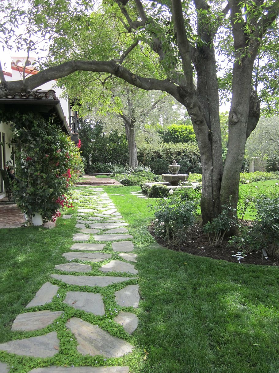 path, garden, pathway, plant, tree, grass, growth, nature, park HD wallpaper