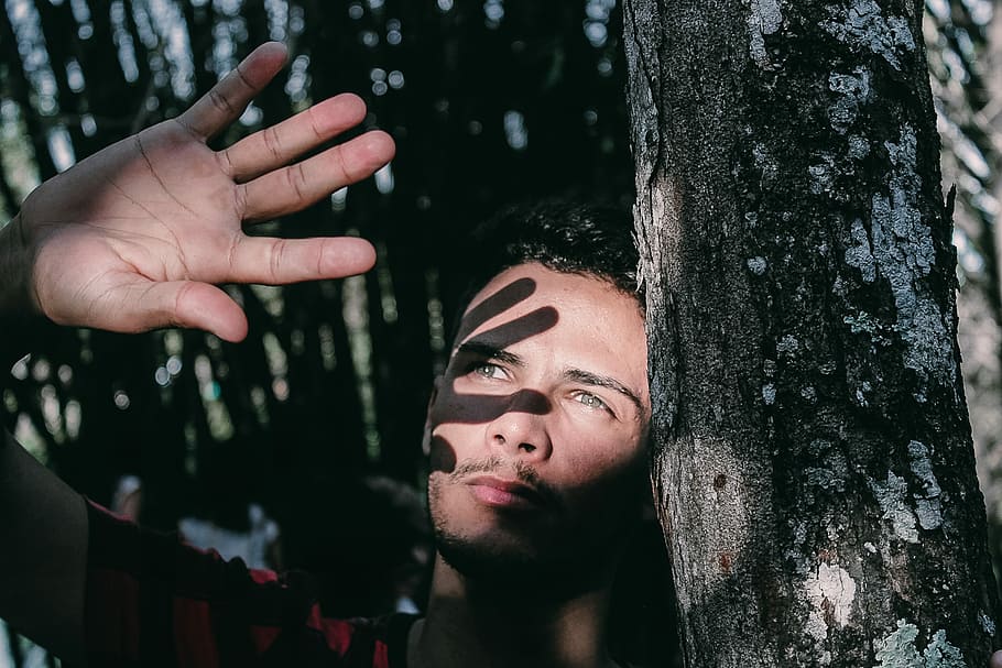 man covering up his face with light, man standing near tree illuminated by sunlight during daytime HD wallpaper