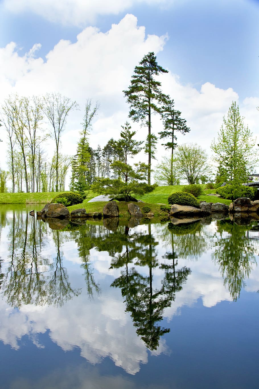 pond, lake, reflection, blue, sky, tree, island, water, summer HD wallpaper