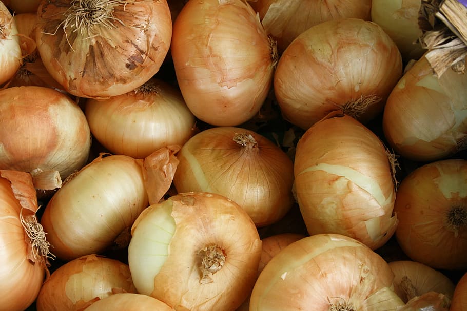 Onions, white background, food, vegetables, HD phone wallpaper | Peakpx