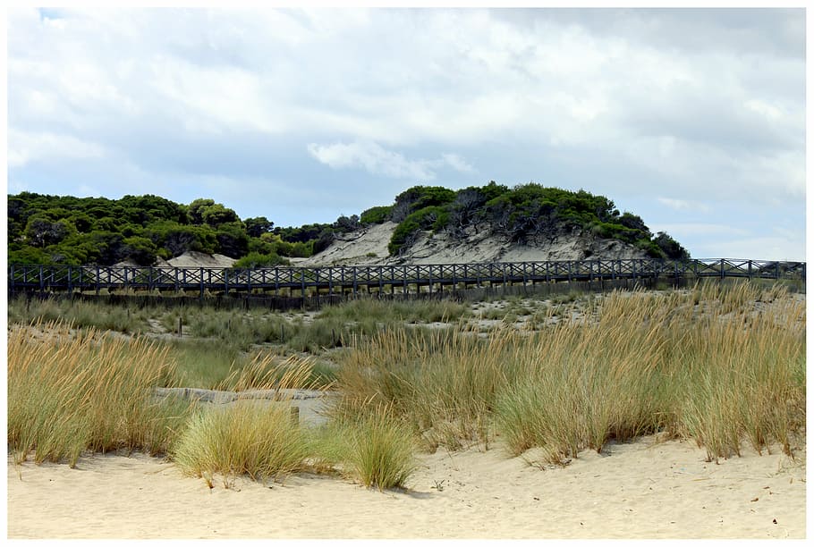 bridge, web, dunes, spain, architecture, mallorca, sand, mountain HD wallpaper