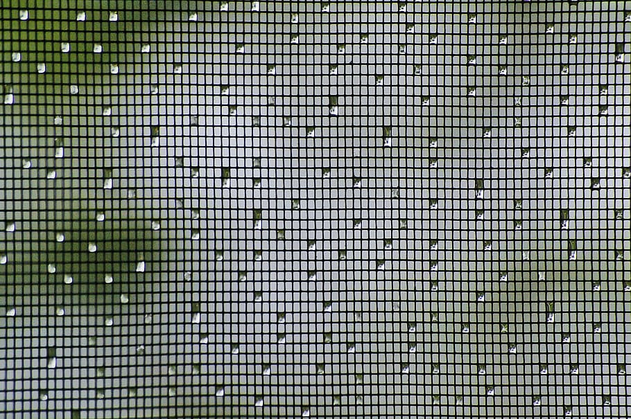 mesh screen with water drops, Fly Screen, rain, pattern, droplet HD wallpaper