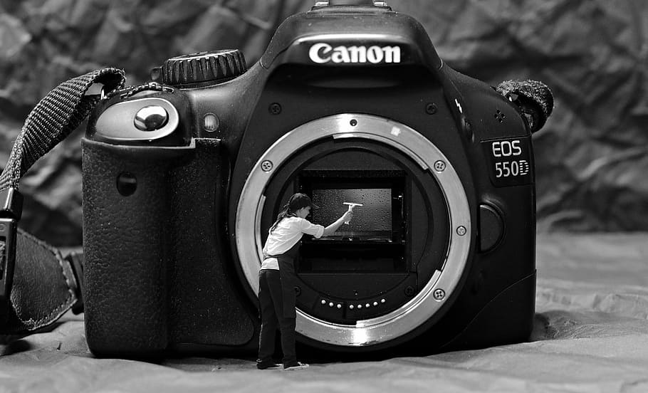 grayscale photography of Canon EOS 550D camera, frühjahrsputz, HD wallpaper