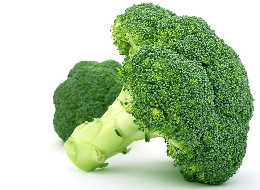 green broccoli, appetite, brocoli broccolli, calories, catering, HD wallpaper