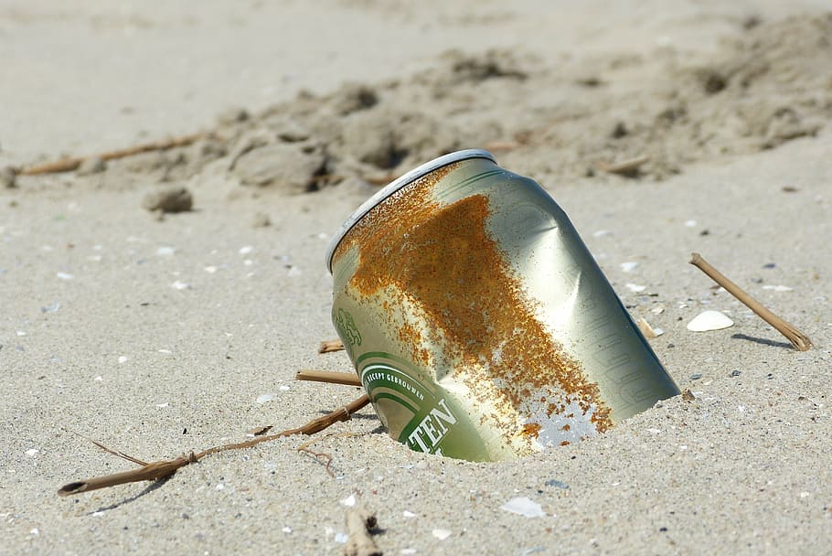 beverage can on grass, sea, dune, marram grass, sand, north sea HD wallpaper