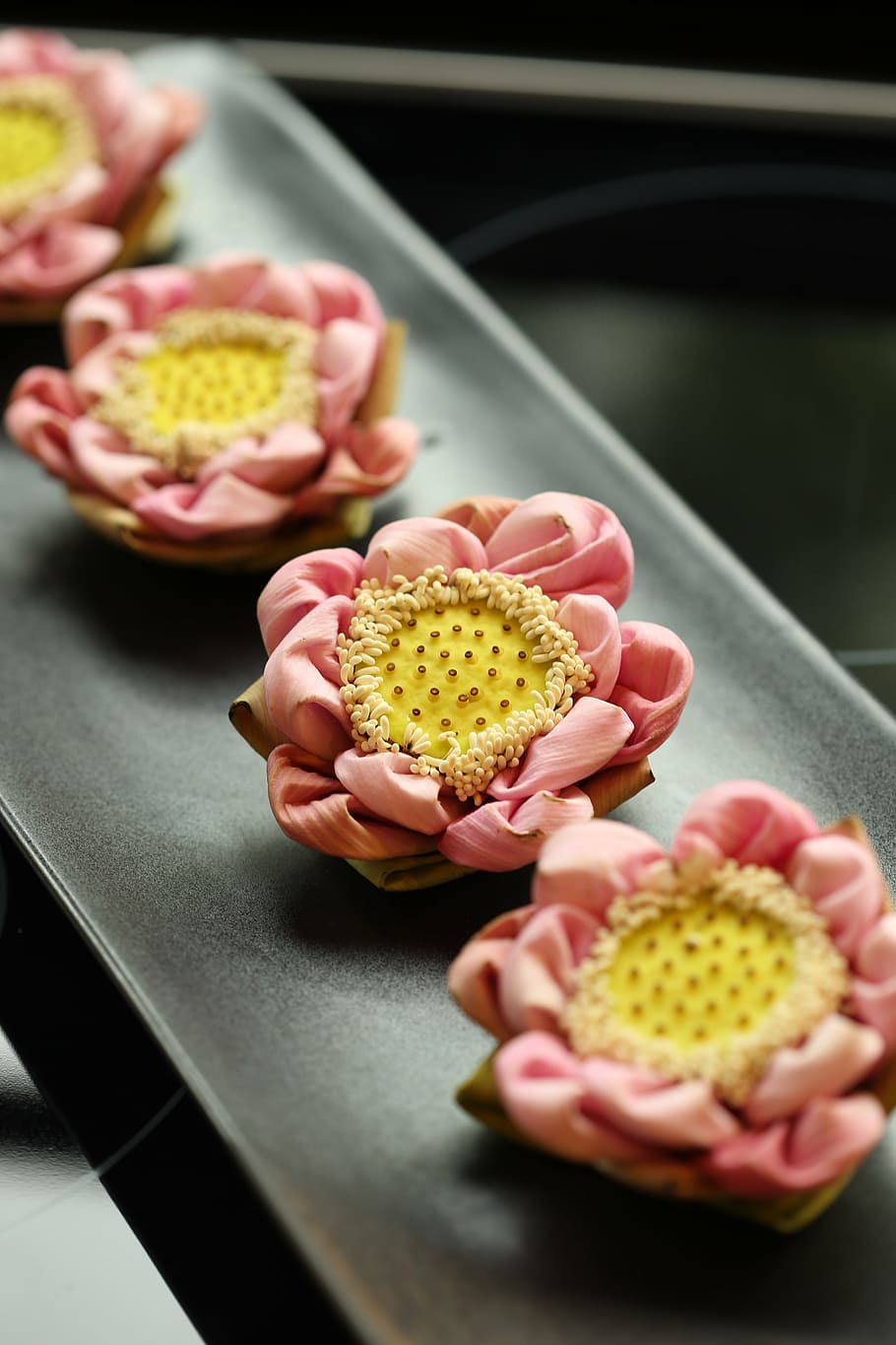 lotus, flower, thai, close-up, freshness, indoors, pink color HD wallpaper