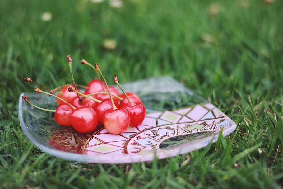 red cherry fruits, food, nature, grass, freshness, green Color HD wallpaper