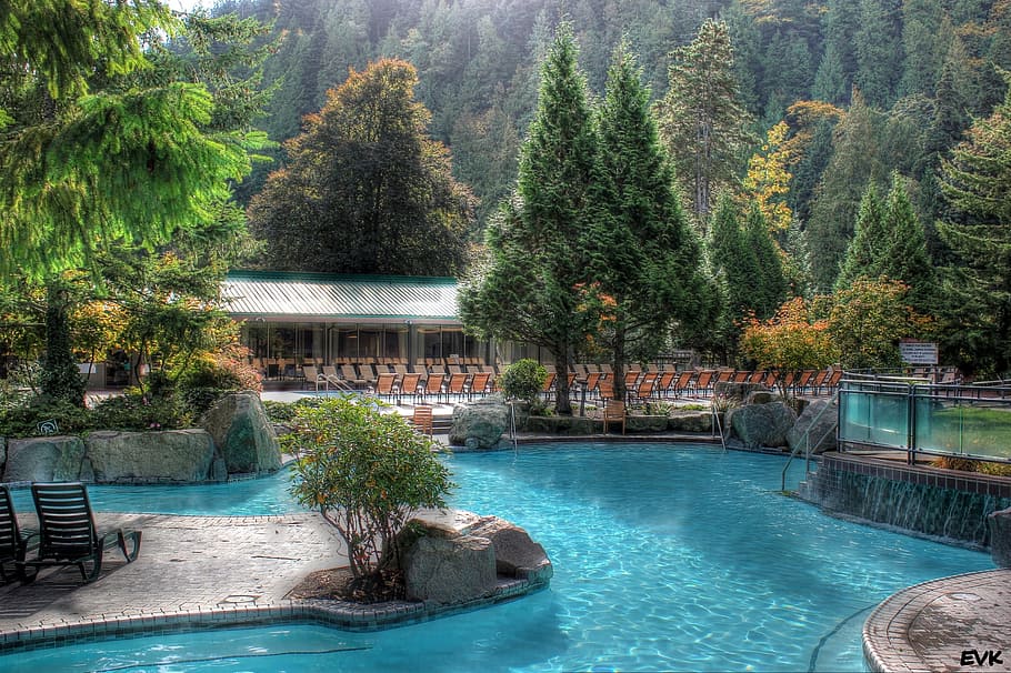 Pool, Harrison, Hotsprings, Water, Trees, outdoor, natural, HD wallpaper