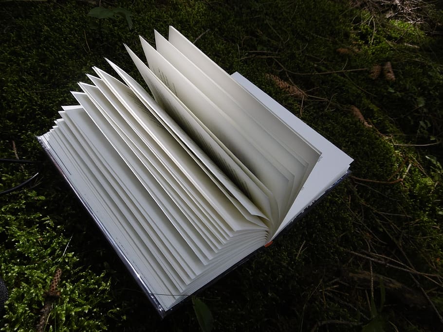 book, nature, shadow, reading, light, green, lightness, moss HD wallpaper