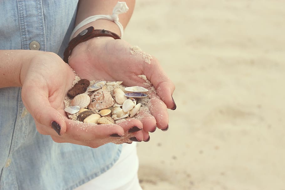 person holding seashells, hands, beach, sand, nail polish, human Hand HD wallpaper