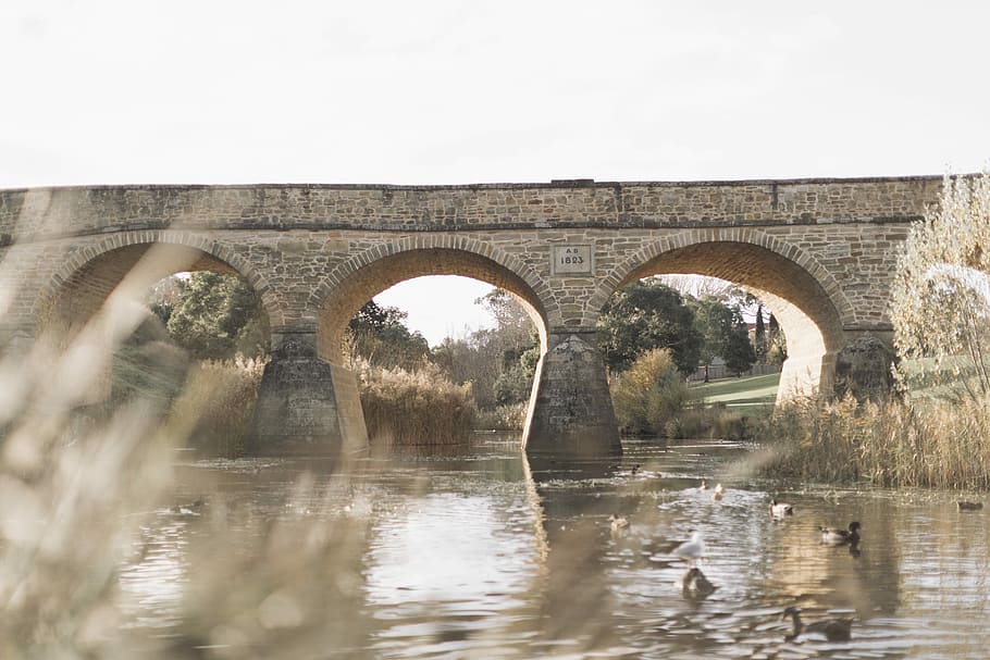 arch bridge under cumulus clouds, gray concrete bridge over river HD wallpaper
